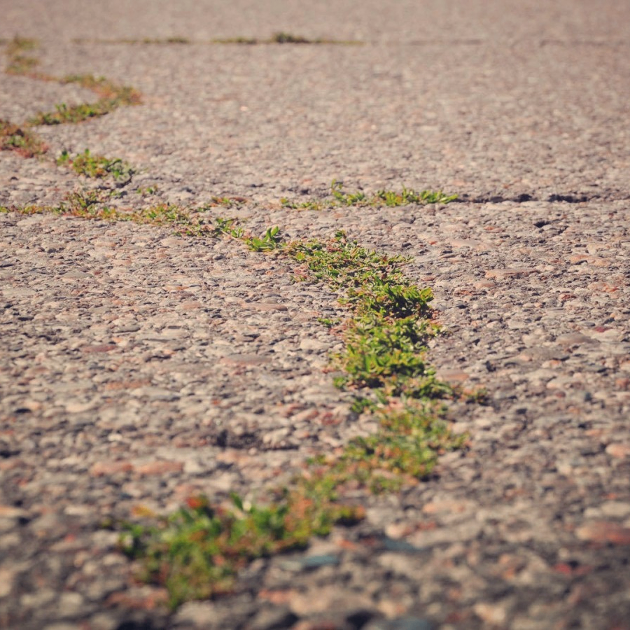 sss (chainchronicle.lens) Lens social identity (.lens handle) PFP