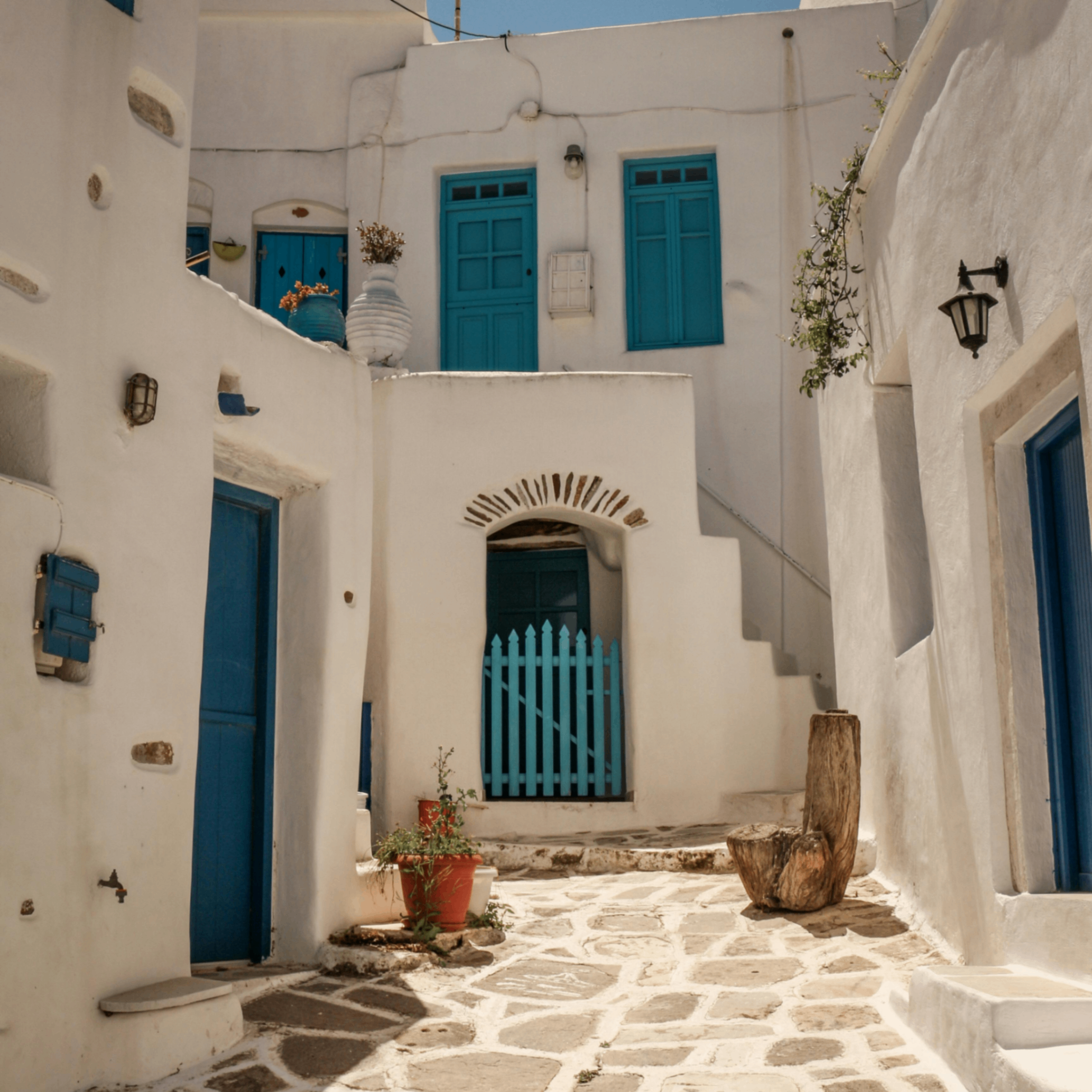 mutatoads (mutatoads.lens) Lens social identity (.lens handle) PFP