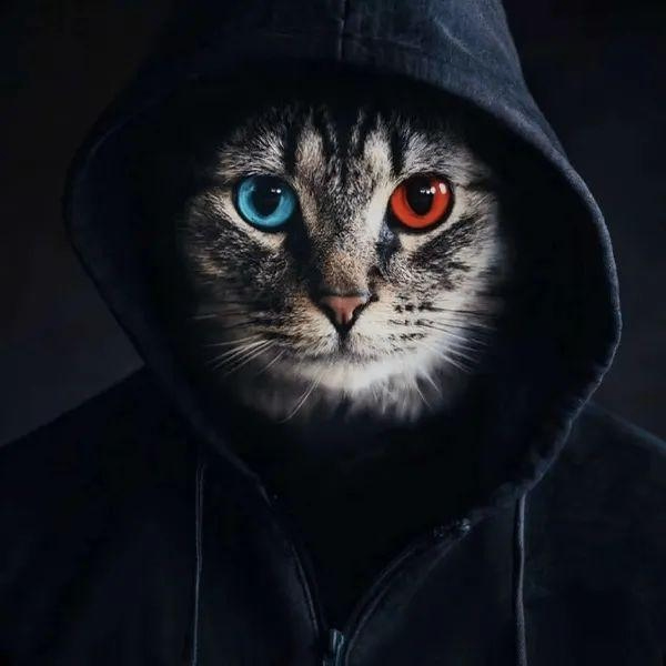 Martian (pinkbrant.lens) Lens social identity (.lens handle) PFP