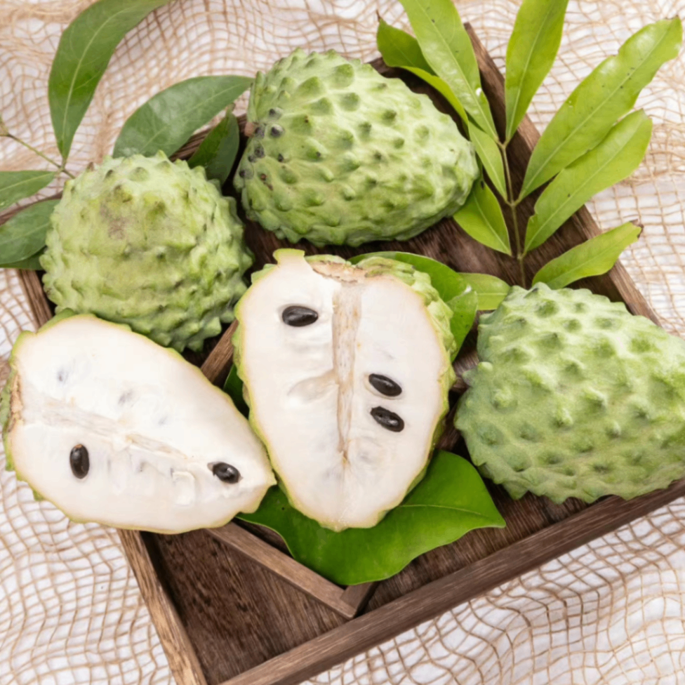 Fruit tree (augety.lens) Lens social identity (.lens handle) PFP