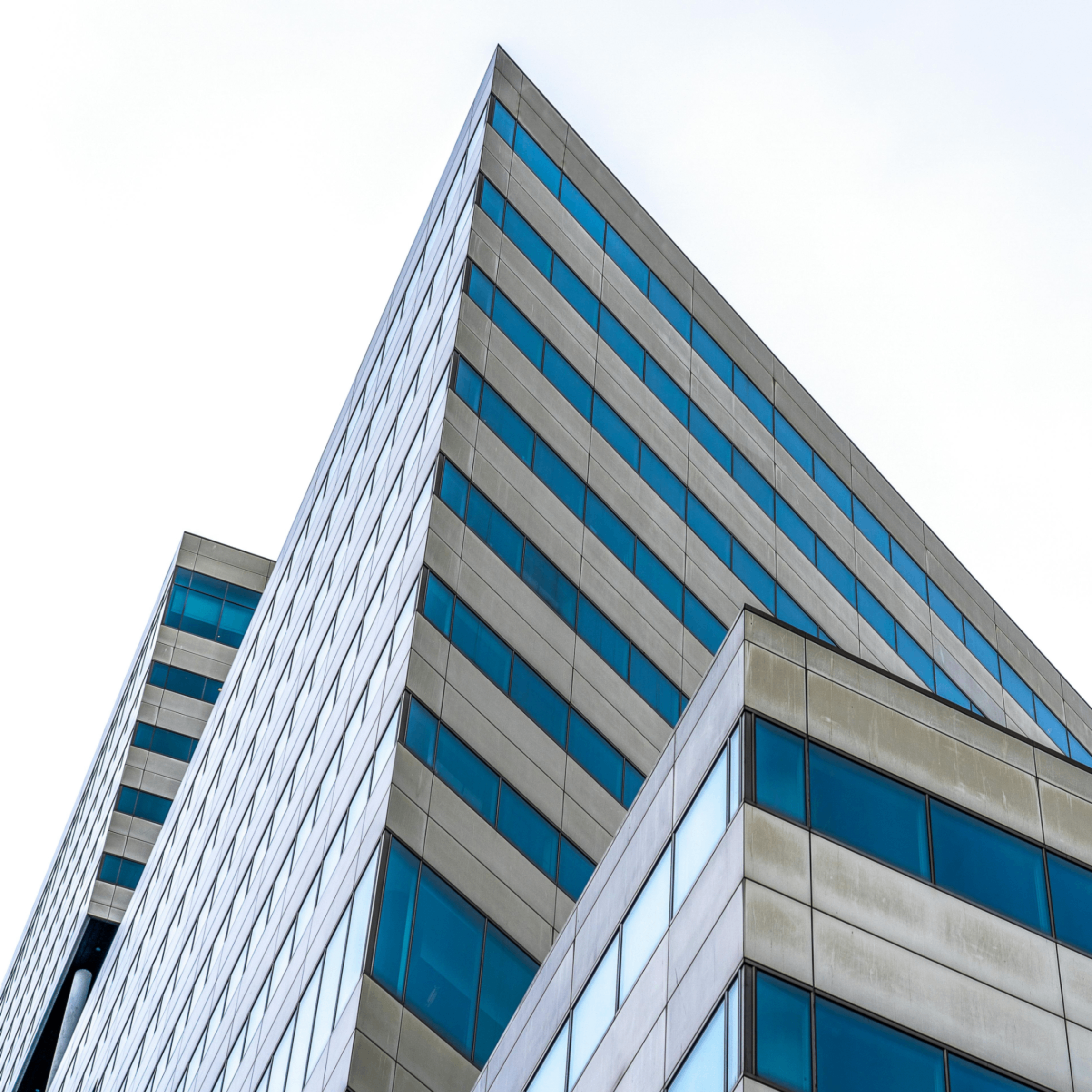 Hepbu (hepbu.lens) Lens social identity (.lens handle) PFP