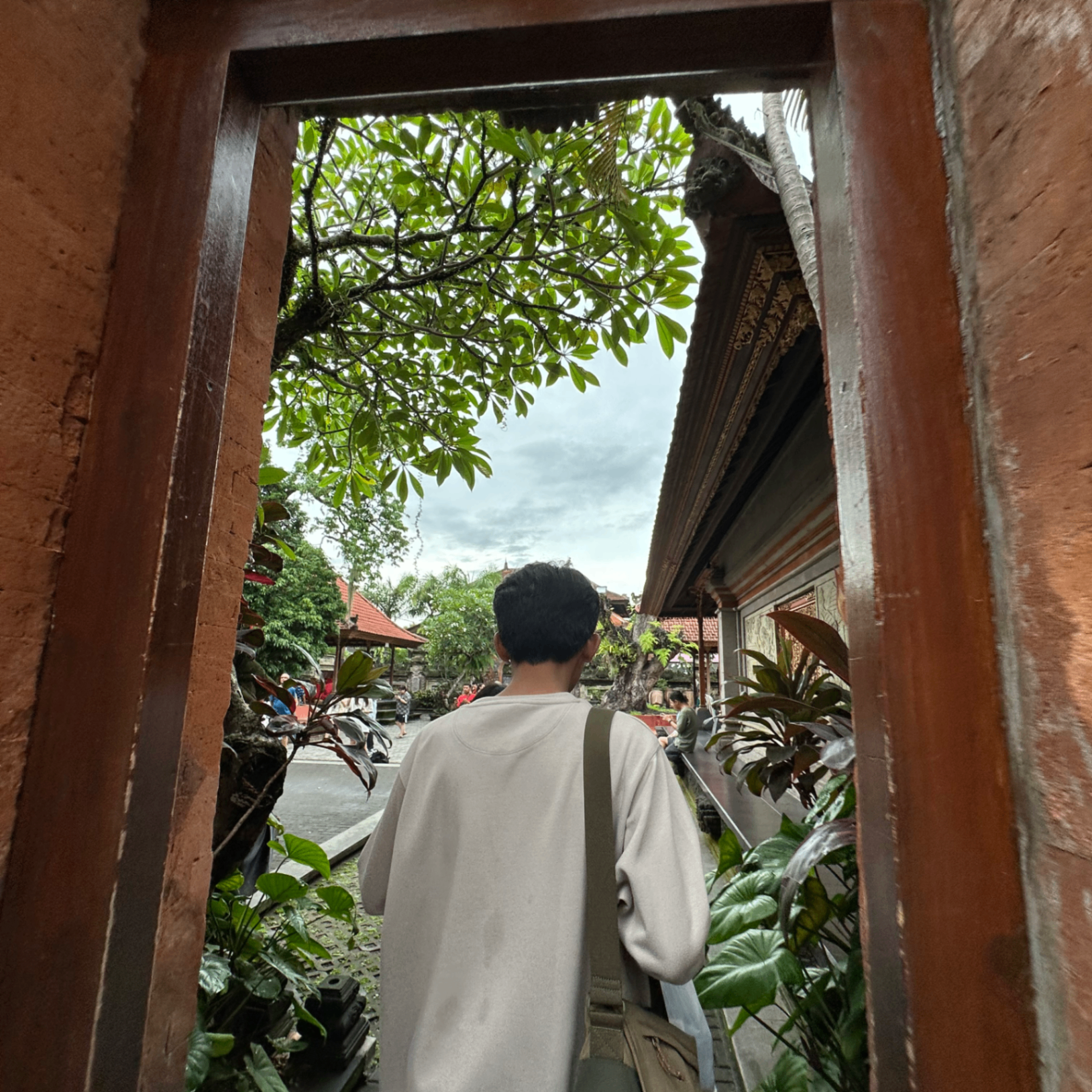 Arya Baharudin (arbell.lens) Lens social identity (.lens handle) PFP