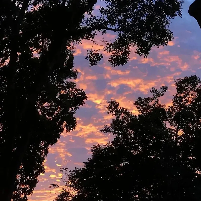 Ahmad (davidkia.lens) Lens social identity (.lens handle) PFP