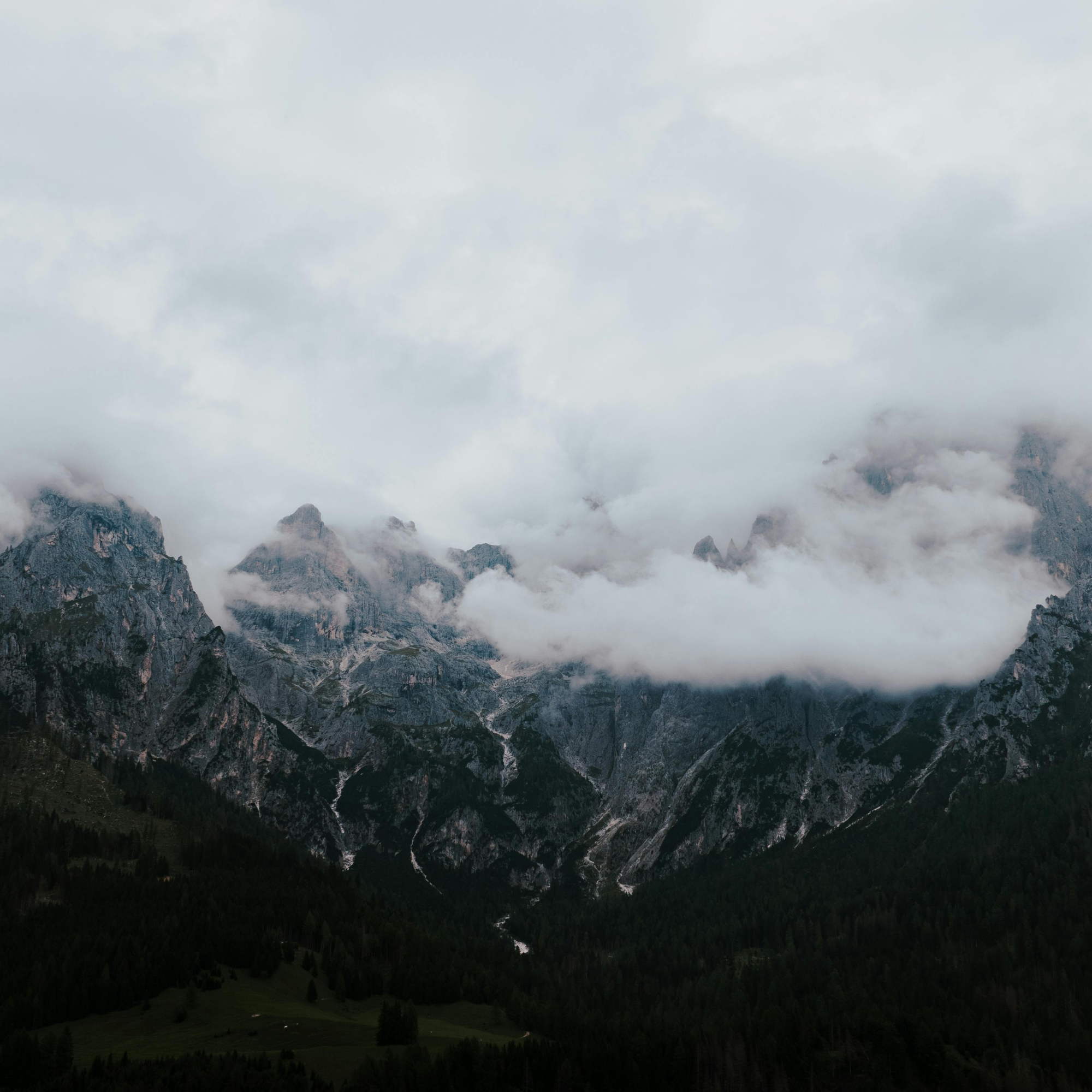 waxez (waxez.lens) Lens social identity (.lens handle) PFP