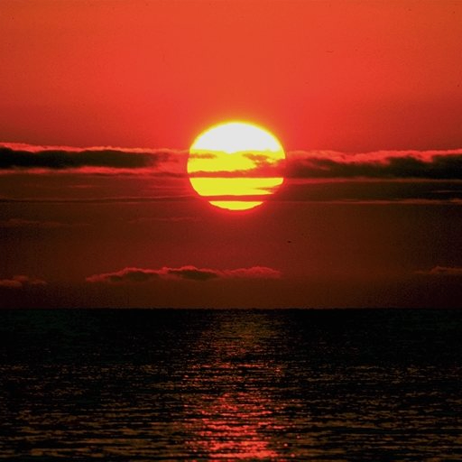 Elena (cunningh.lens) Lens social identity (.lens handle) PFP