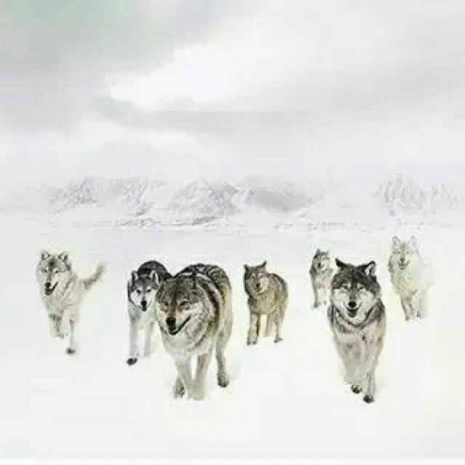 sda (ertgt.lens) Lens social identity (.lens handle) PFP