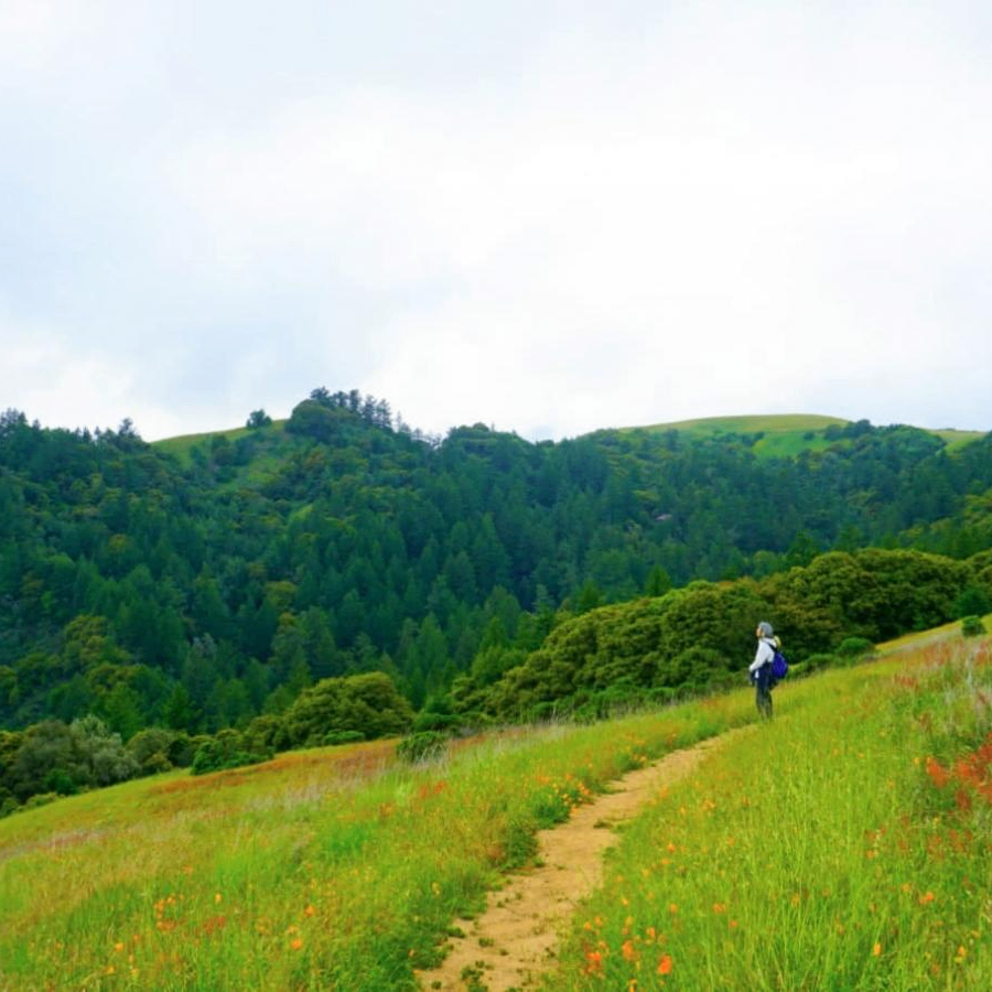 Artem Horoshev (ulyanytskyi.lens) Lens social identity (.lens handle) PFP