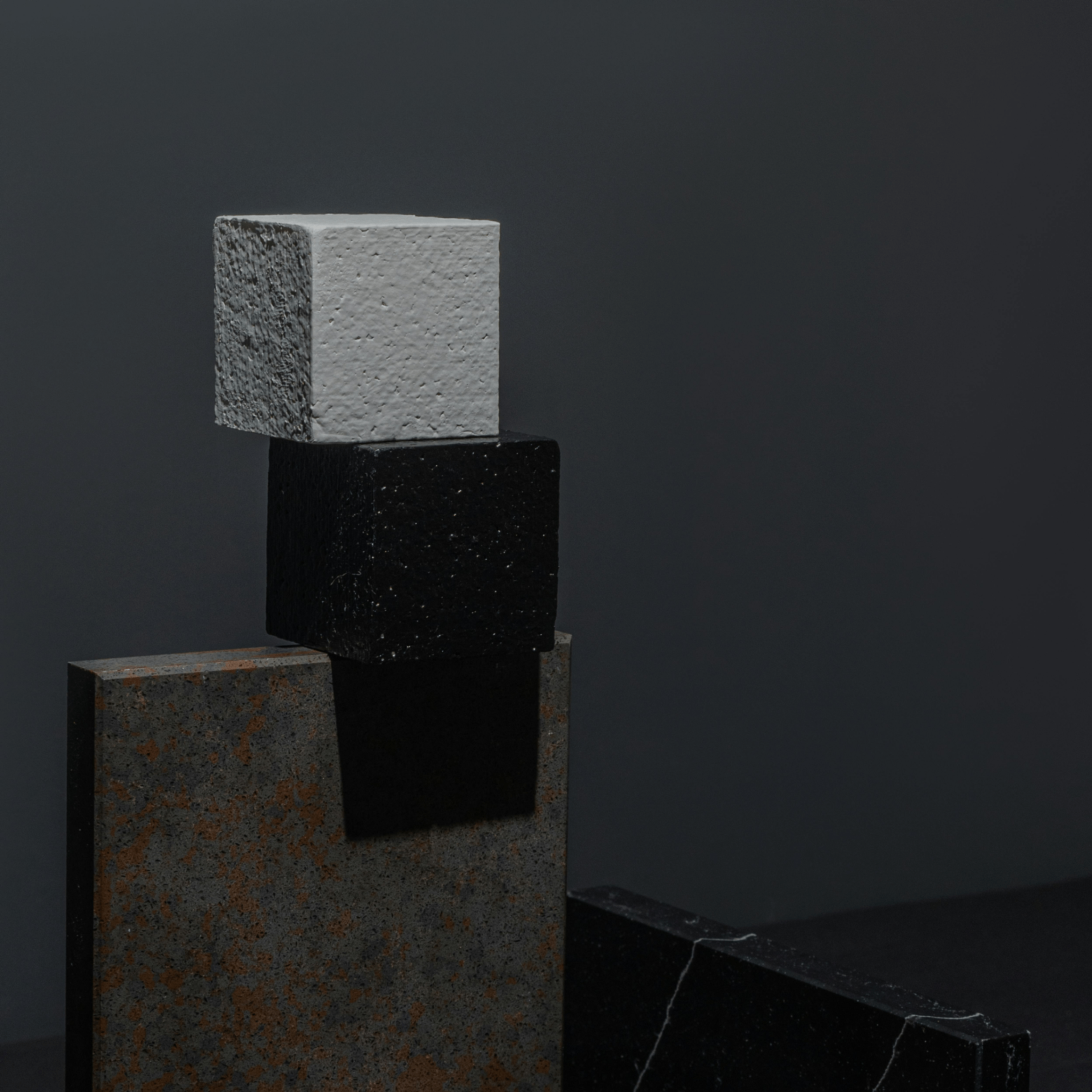 Mammals (mammals.lens) Lens social identity (.lens handle) PFP