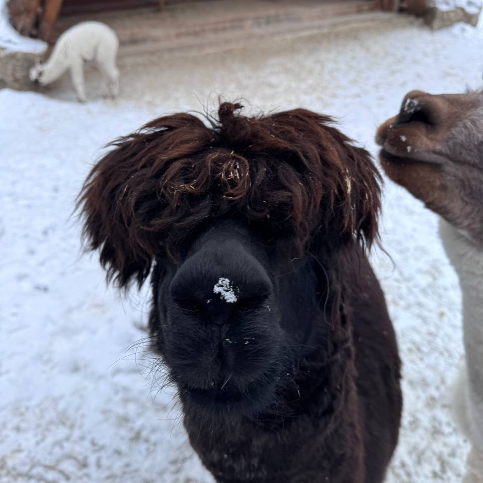 CryptoFarmer (pifagorchik.lens) Lens social identity (.lens handle) PFP