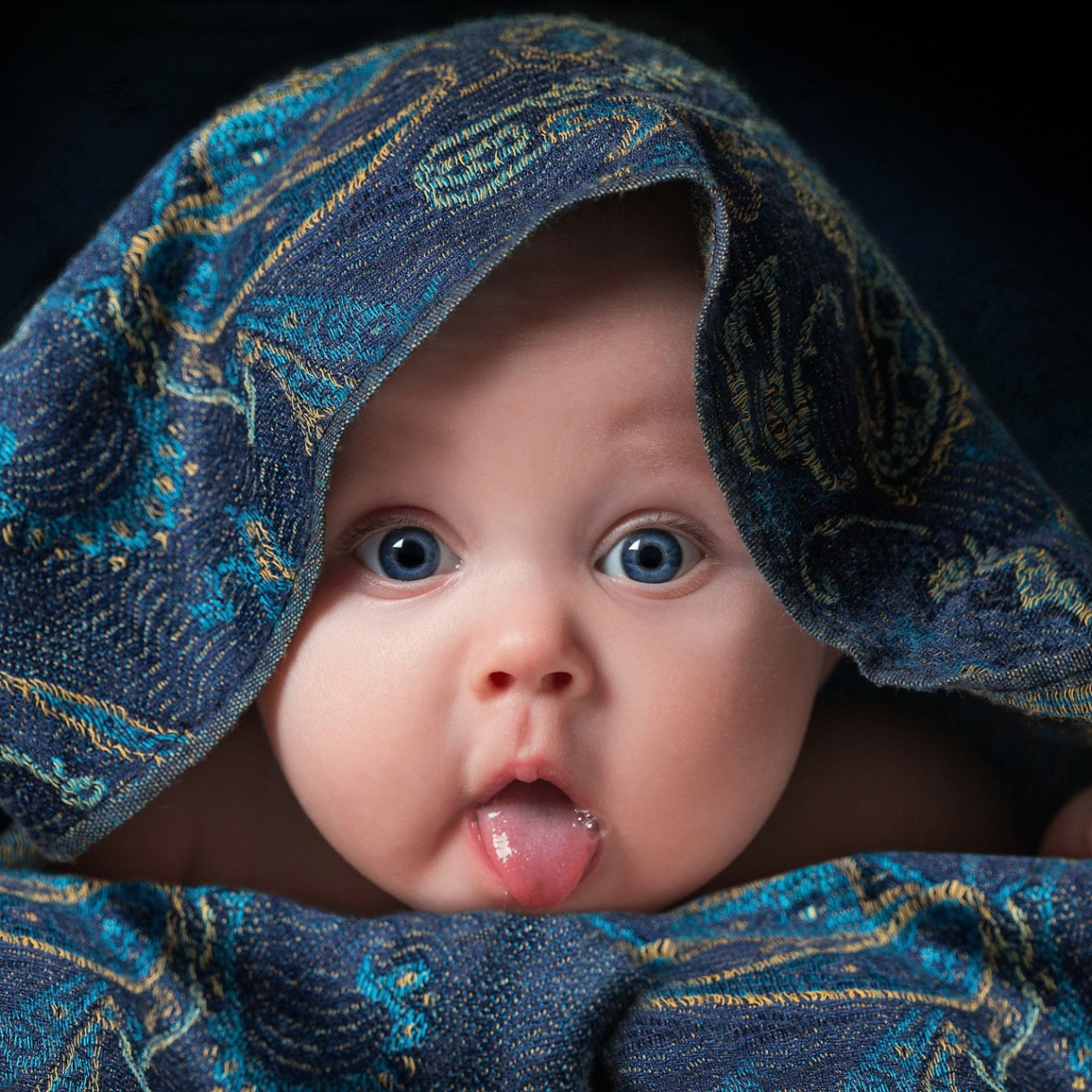 traxanh (traxanh.lens) Lens social identity (.lens handle) PFP