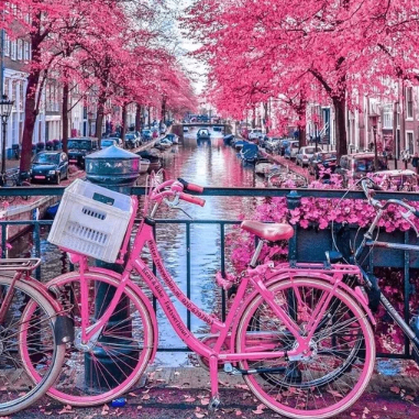 Olnik (olnik.lens) Lens social identity (.lens handle) PFP