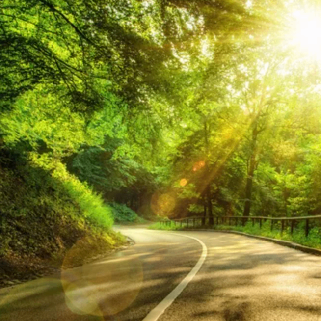 njhjgb (mmmmlp.lens) Lens social identity (.lens handle) PFP