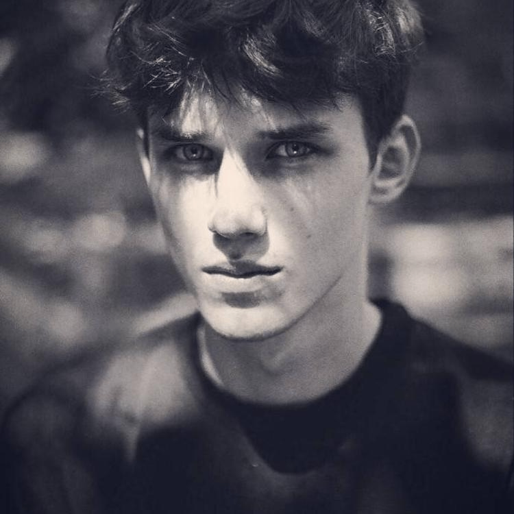 ModestMichael (sharkstrength.lens) Lens social identity (.lens handle) PFP