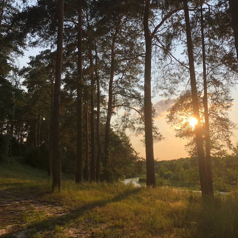 justbuild (justbuild.lens) Lens social identity (.lens handle) PFP