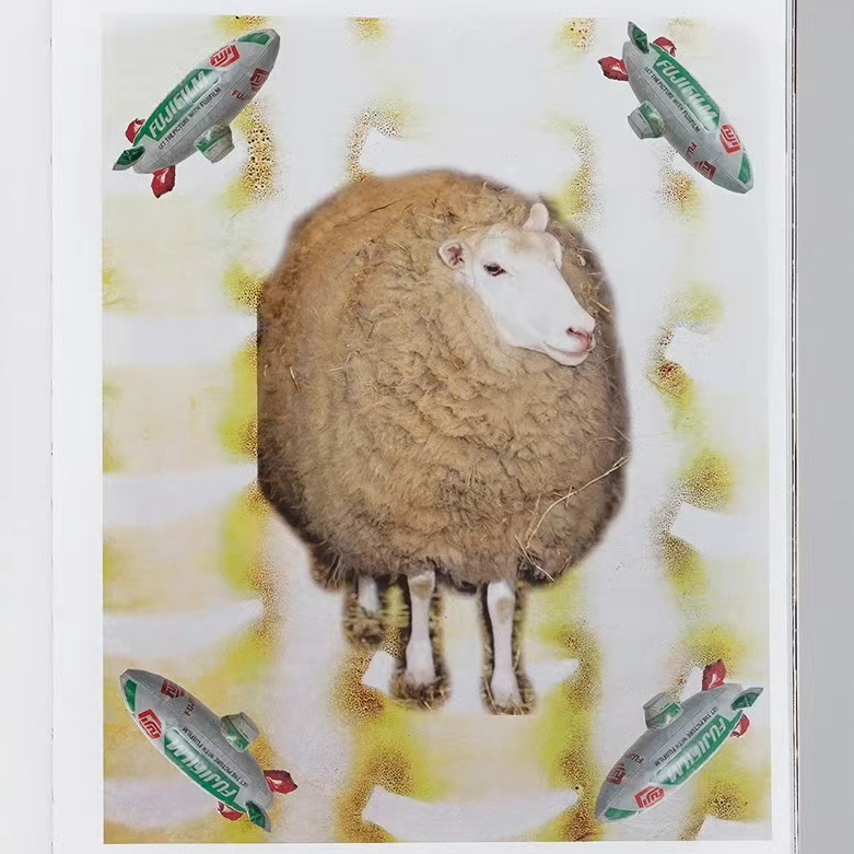 freesia (fresia.lens) Lens social identity (.lens handle) PFP