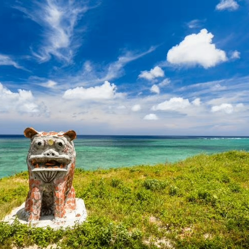 Sarah Johnson (rauma.lens) Lens social identity (.lens handle) PFP