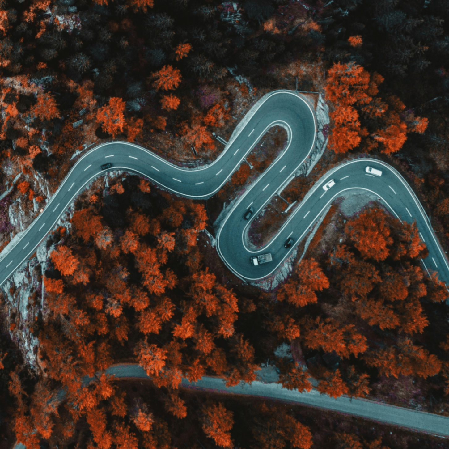 Shaqe (shaqe.lens) Lens social identity (.lens handle) PFP