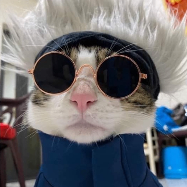 Undercat (undercat.lens) Lens social identity (.lens handle) PFP