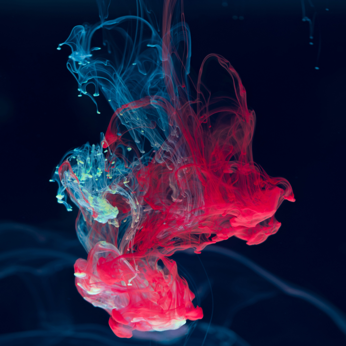 huo4 (huohuohuohuo8.lens) Lens social identity (.lens handle) PFP