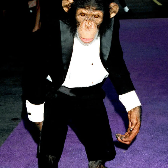 monkeypapa (monkeypapa.lens) Lens social identity (.lens handle) PFP