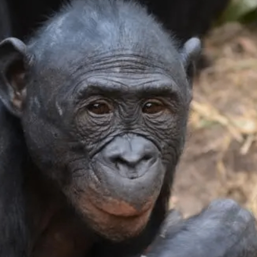 afewlkfnejk (nnnmmm.lens) Lens social identity (.lens handle) PFP