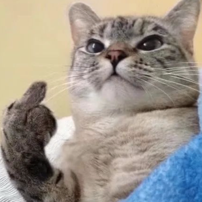 Meme (nskxyu.lens) Lens social identity (.lens handle) PFP