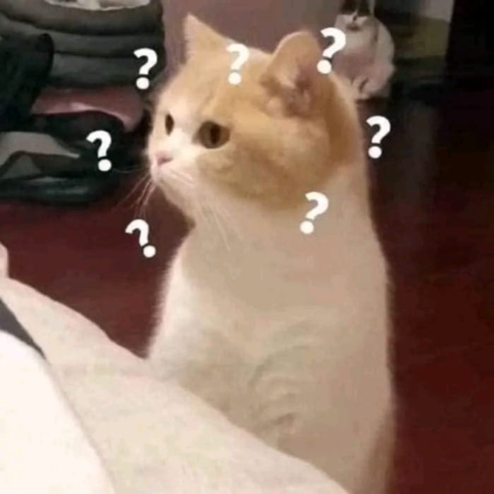 Shamim (shamim01.lens) Lens social identity (.lens handle) PFP