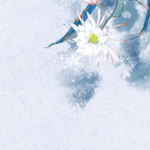 nju888 (kkkkuuu888.lens) Lens social identity (.lens handle) PFP