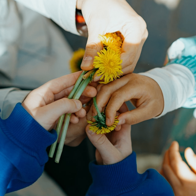 AmazonianAegis (dissambless.lens) Lens social identity (.lens handle) PFP