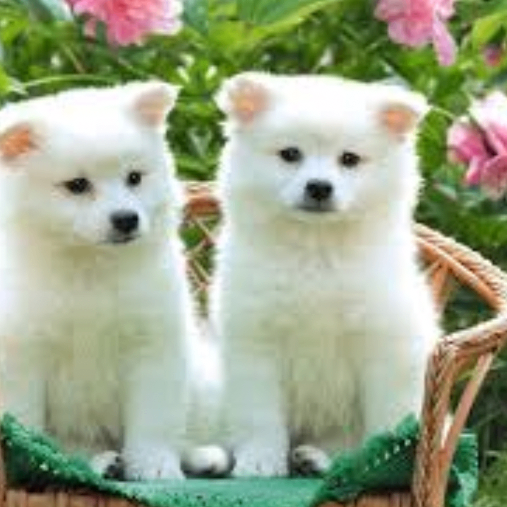 hghgggg (jnnnnn.lens) Lens social identity (.lens handle) PFP