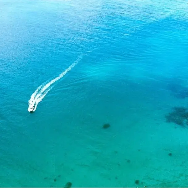 tiege (tiege.lens) Lens social identity (.lens handle) PFP