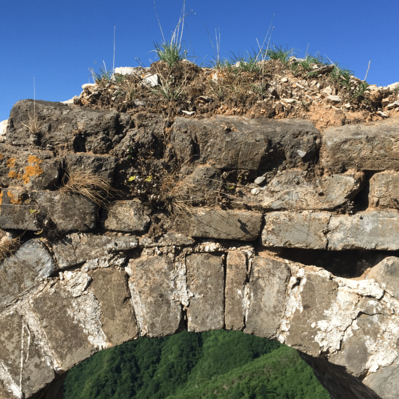 $816,000! (nxcodnx.lens) Lens social identity (.lens handle) PFP