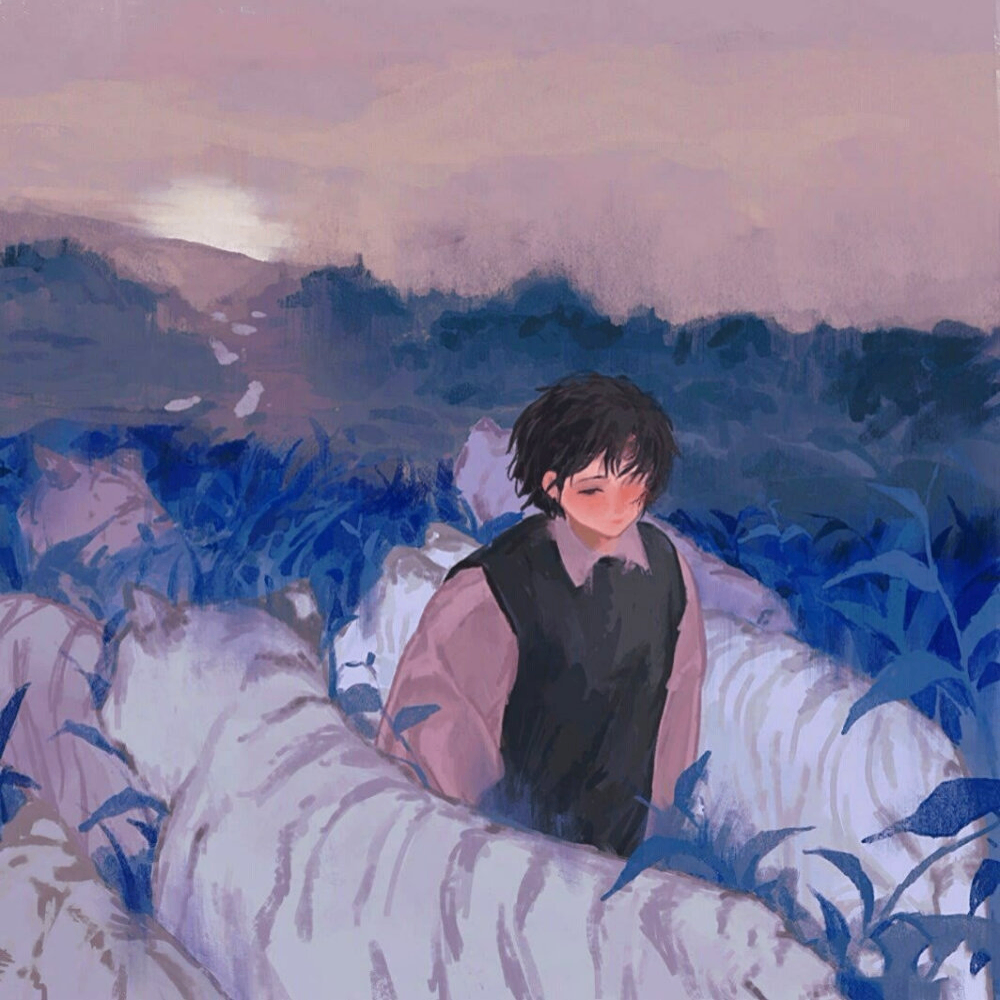 plasss (plasss.lens) Lens social identity (.lens handle) PFP