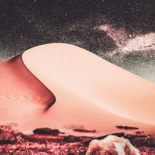 heyhi (mades.lens) Lens social identity (.lens handle) PFP