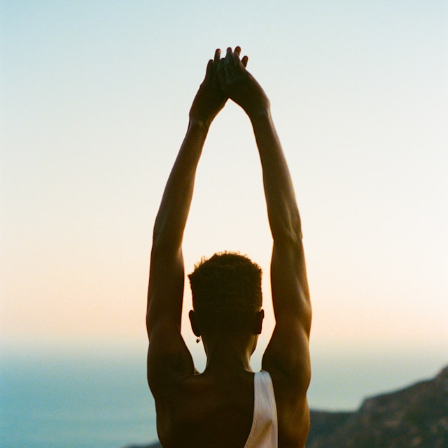 SafariSculptor (konamanila.lens) Lens social identity (.lens handle) PFP