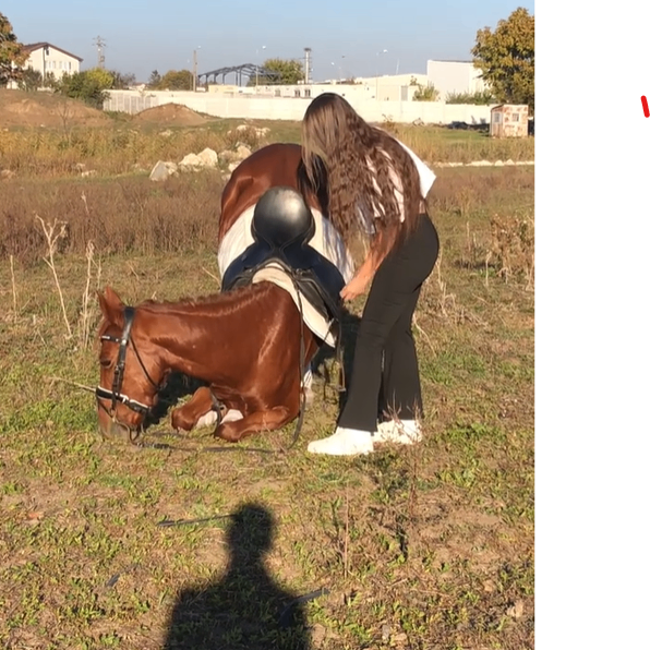 ri (raider24.lens) Lens social identity (.lens handle) PFP