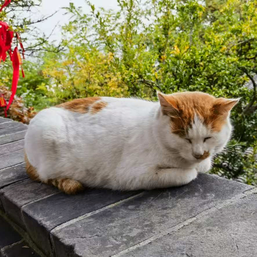 Soul Sniper (soulsniper.lens) Lens social identity (.lens handle) PFP