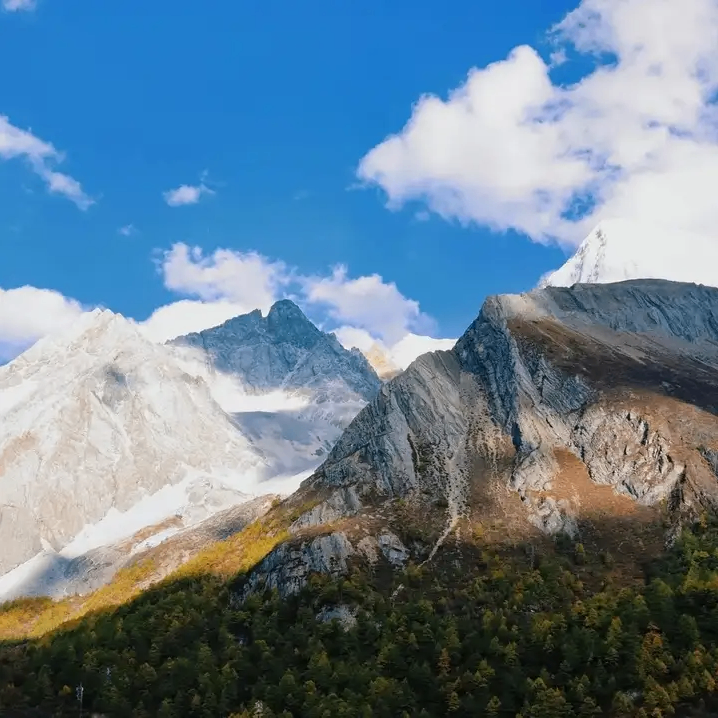 mentall (mentall.lens) Lens social identity (.lens handle) PFP