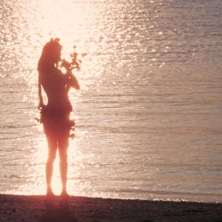 perpetual (perpetua.lens) Lens social identity (.lens handle) PFP