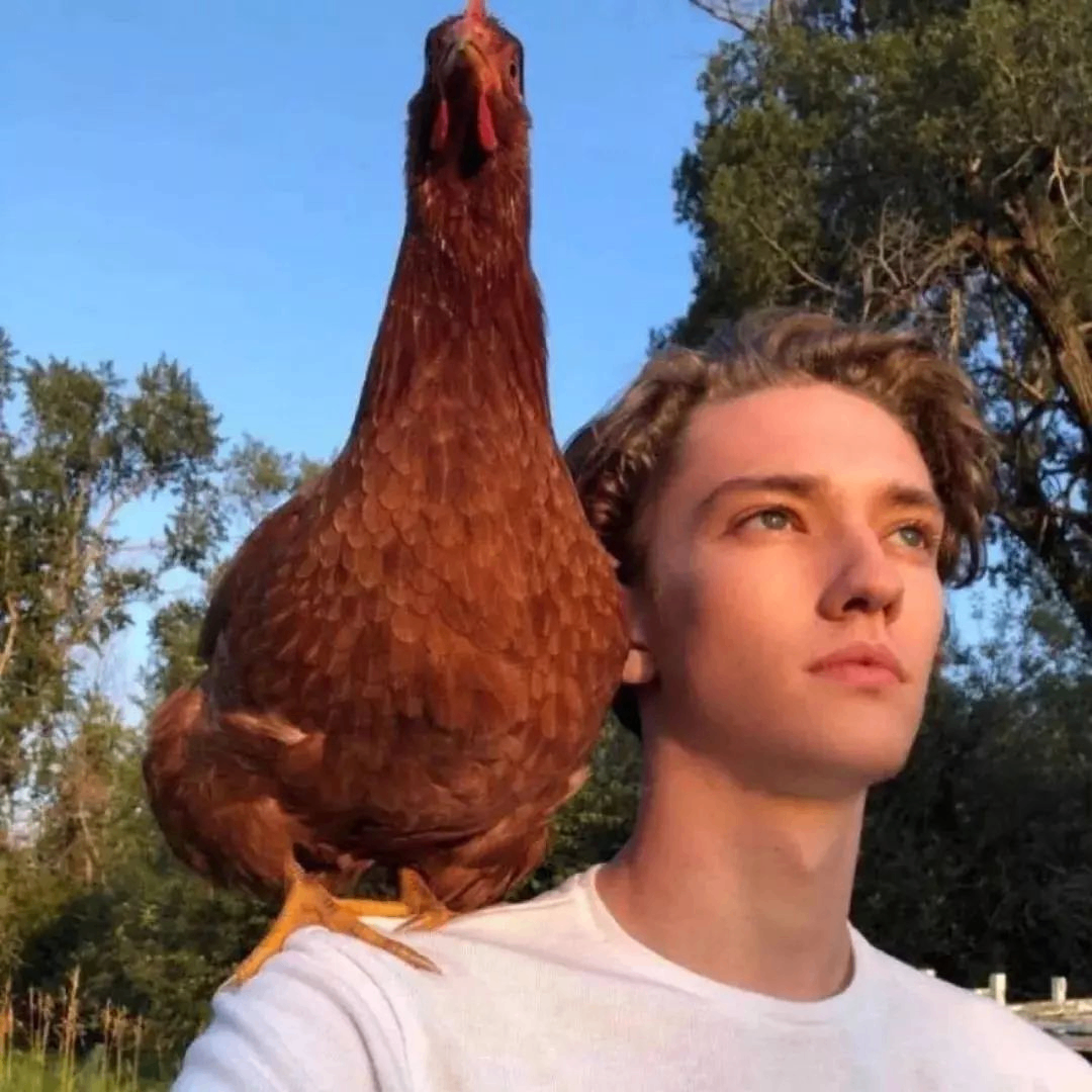 gisellea (gisellea.lens) Lens social identity (.lens handle) PFP