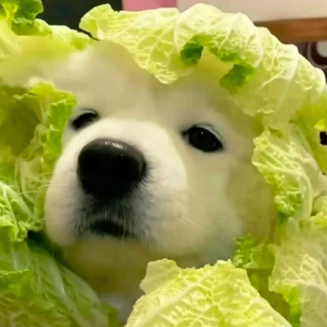 小菜狗 (upal1.lens) Lens social identity (.lens handle) PFP