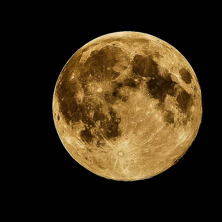 conras (conras.lens) Lens social identity (.lens handle) PFP