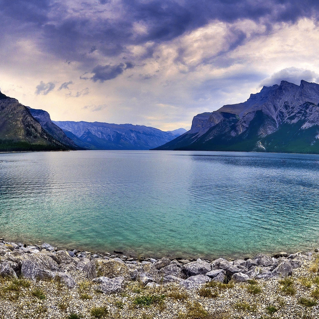 GF (pixelx.lens) Lens social identity (.lens handle) PFP