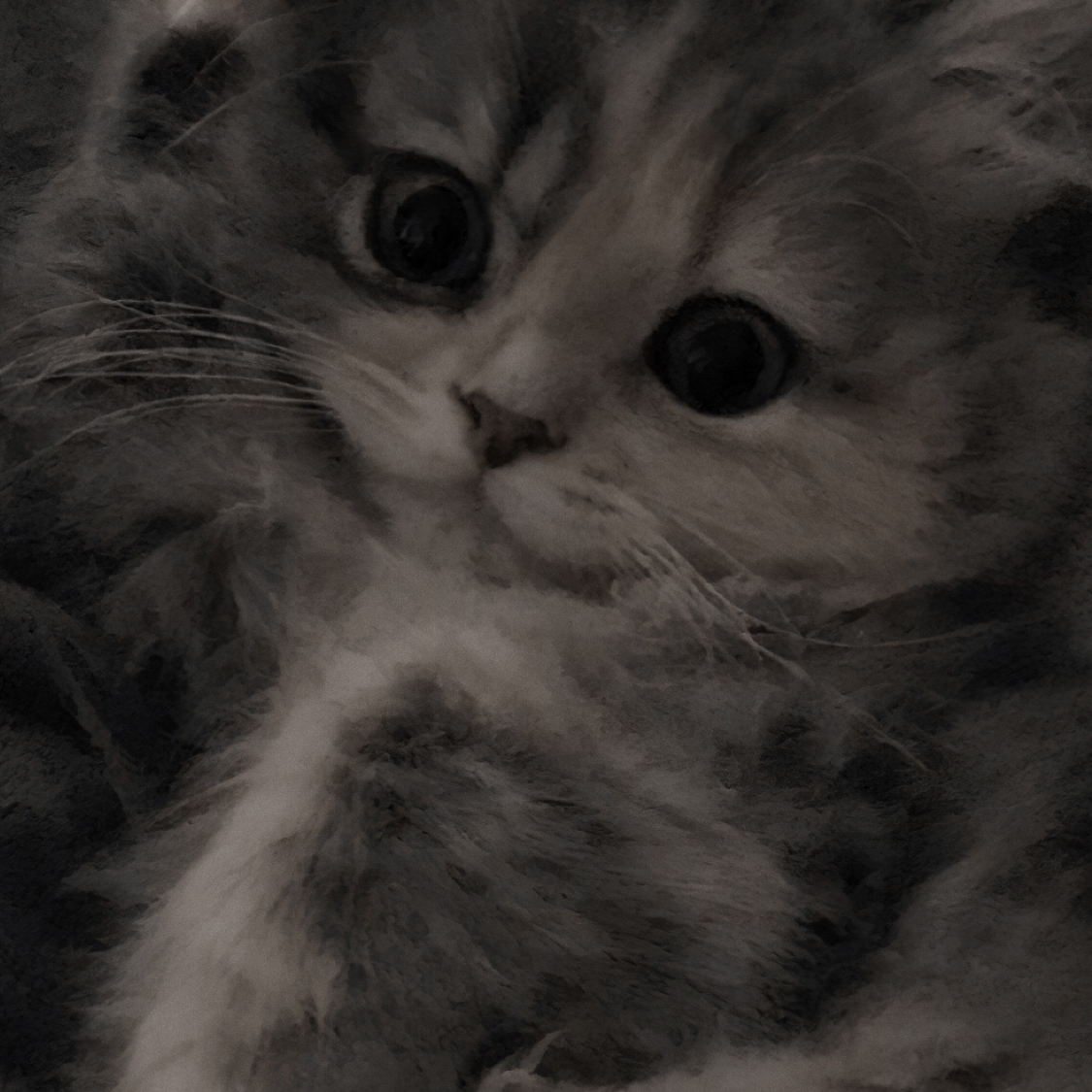 Moonlij (moonlijet.lens) Lens social identity (.lens handle) PFP