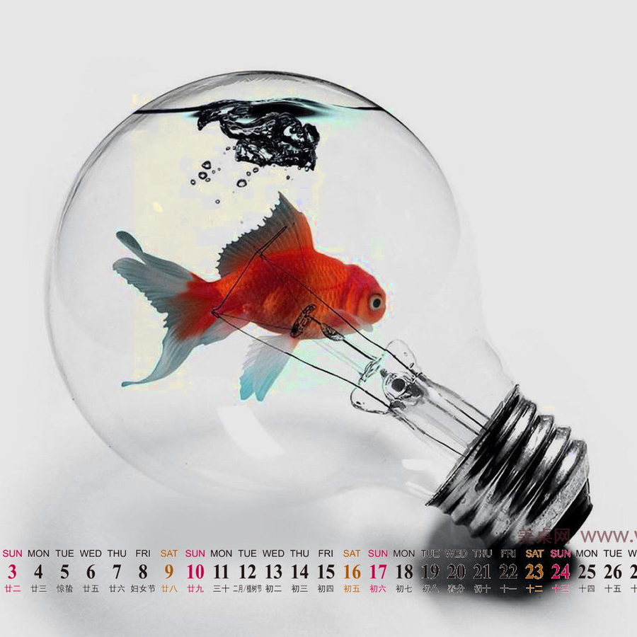 df (nexiver.lens) Lens social identity (.lens handle) PFP