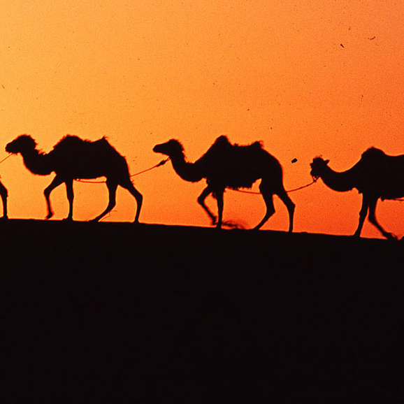 dffg. (nuui8.lens) Lens social identity (.lens handle) PFP