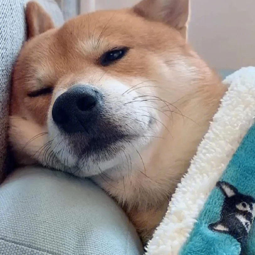 Ursula Field (dddddt.lens) Lens social identity (.lens handle) PFP