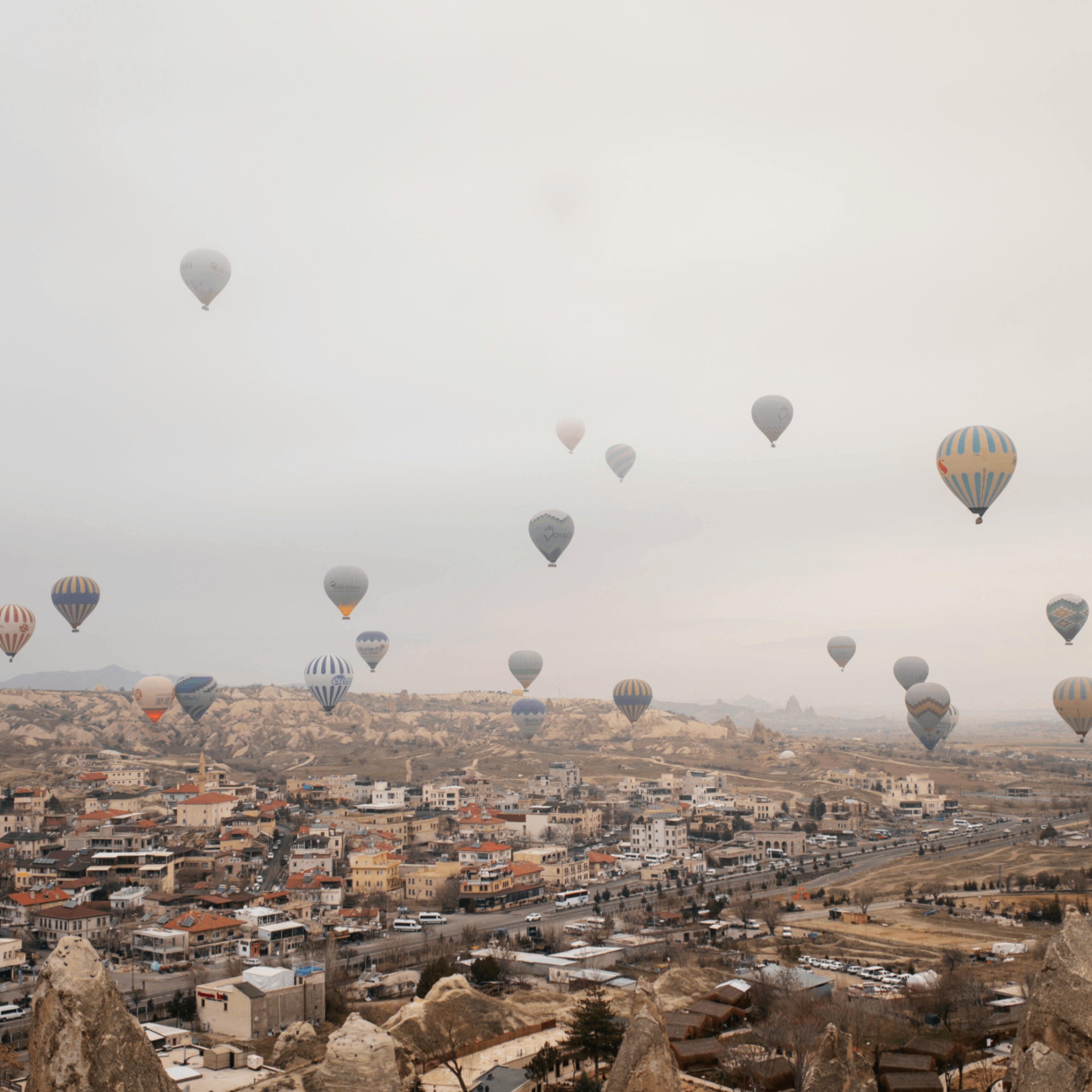 quintiou (quintiou.lens) Lens social identity (.lens handle) PFP