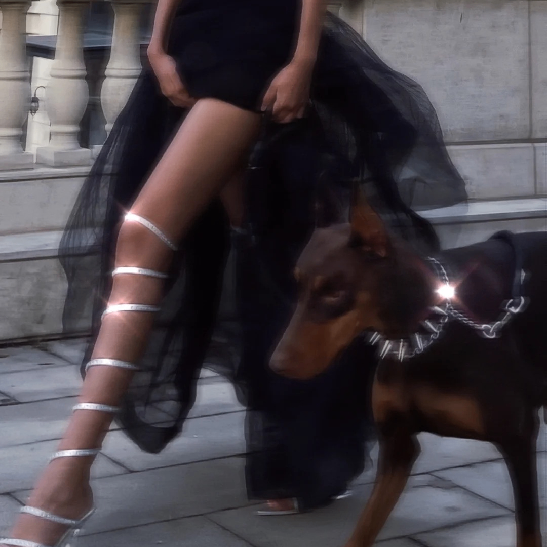 SEMEFSF (mortoncc.lens) Lens social identity (.lens handle) PFP