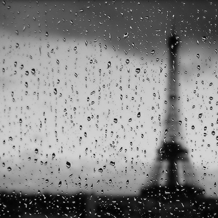 gdgd (elron.lens) Lens social identity (.lens handle) PFP